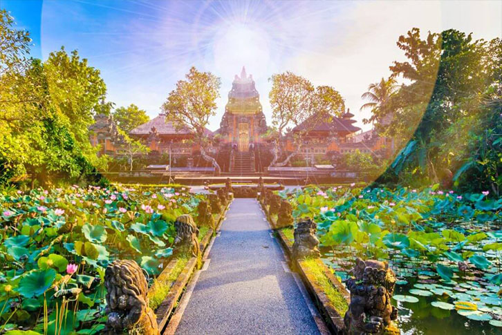 bali lotus