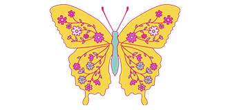 butterfly