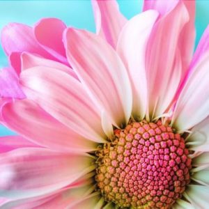 jessy robbins Reiki Training Weekend Workshop