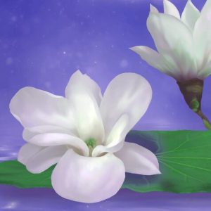 richard valdez Reiki Training Weekend Workshop