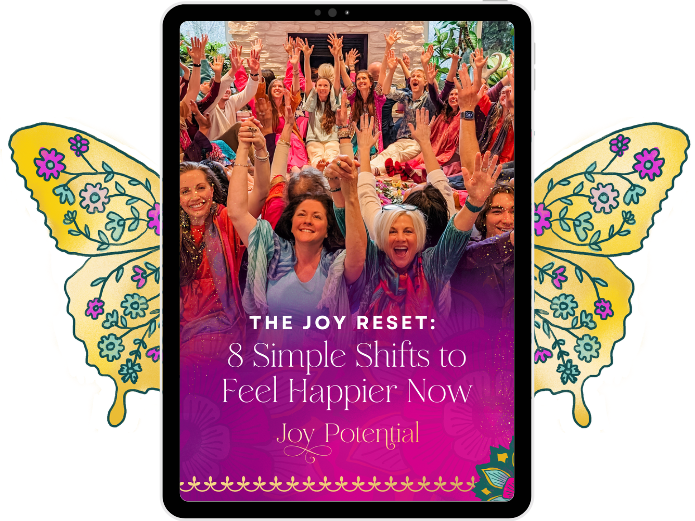 the joy reset